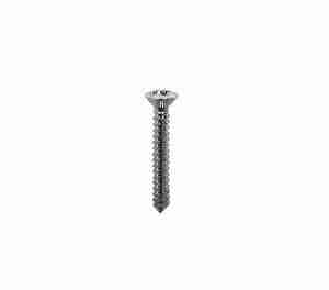 1926-75 #6x1 Stainless Phillips Self-Tapping Oval Head Garnish Molding & Trim Screws, set of 10